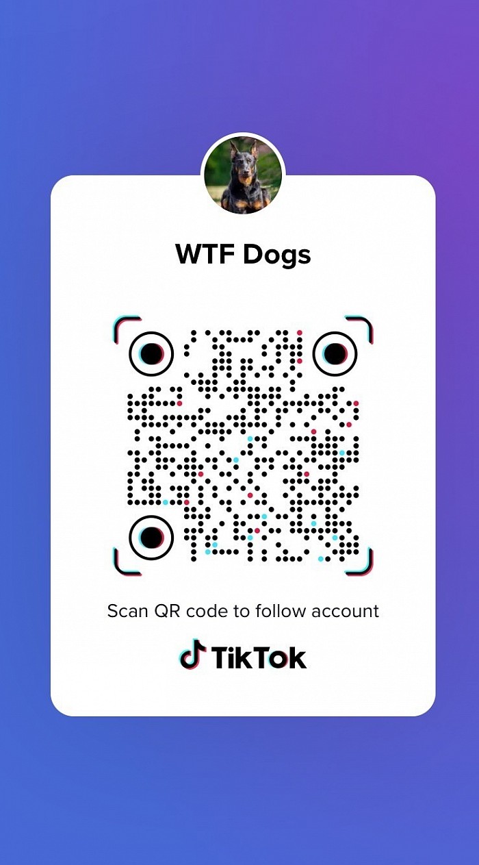 Follow Us On TikTok